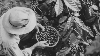 ¿Qué pasa con tu empresa si mañana no estás? La historia de un legado empresarial sin estructura