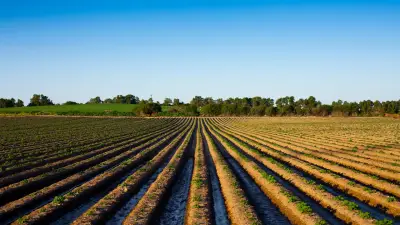 En el agro, el legado no se improvisa: se diseña con orden y protección patrimonial