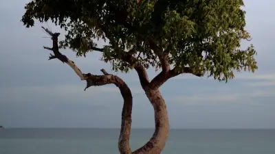Curaçao: Una jurisdicción flexible y competitiva que cumple con los estándares fiscales de la UE